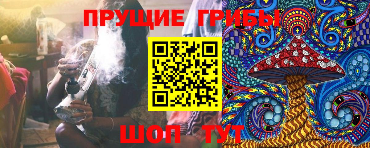 Псилоцибиновые грибы мицелий Ейск
