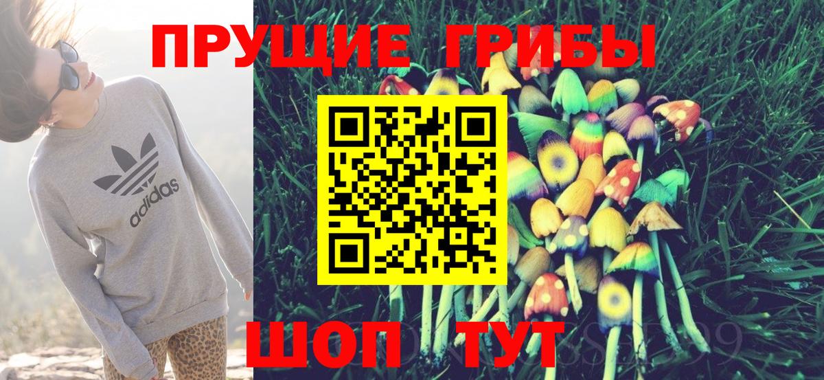 Ейск  Галлюциногенные грибы прущие грибы  Вход с VPN 